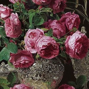 Meet your Posher, Terry